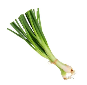 CEBOLINHA GRANEL UN