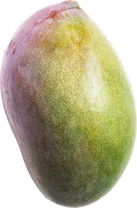 MANGA PALMER GRANEL KG