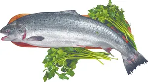Salmão FRESCATTO Inteiro Fresco kg